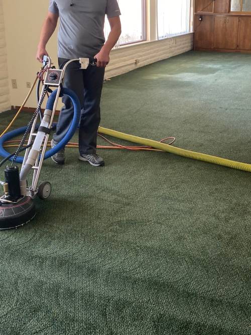 A person cleaning carpet