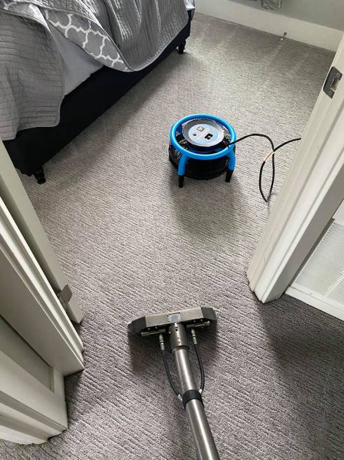 Carpet Cleaning process