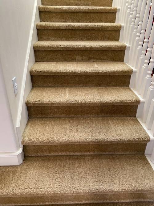 capet cleaning on stair