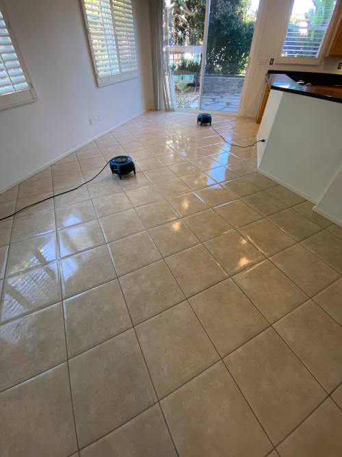 Tile and Grout Cleaning process