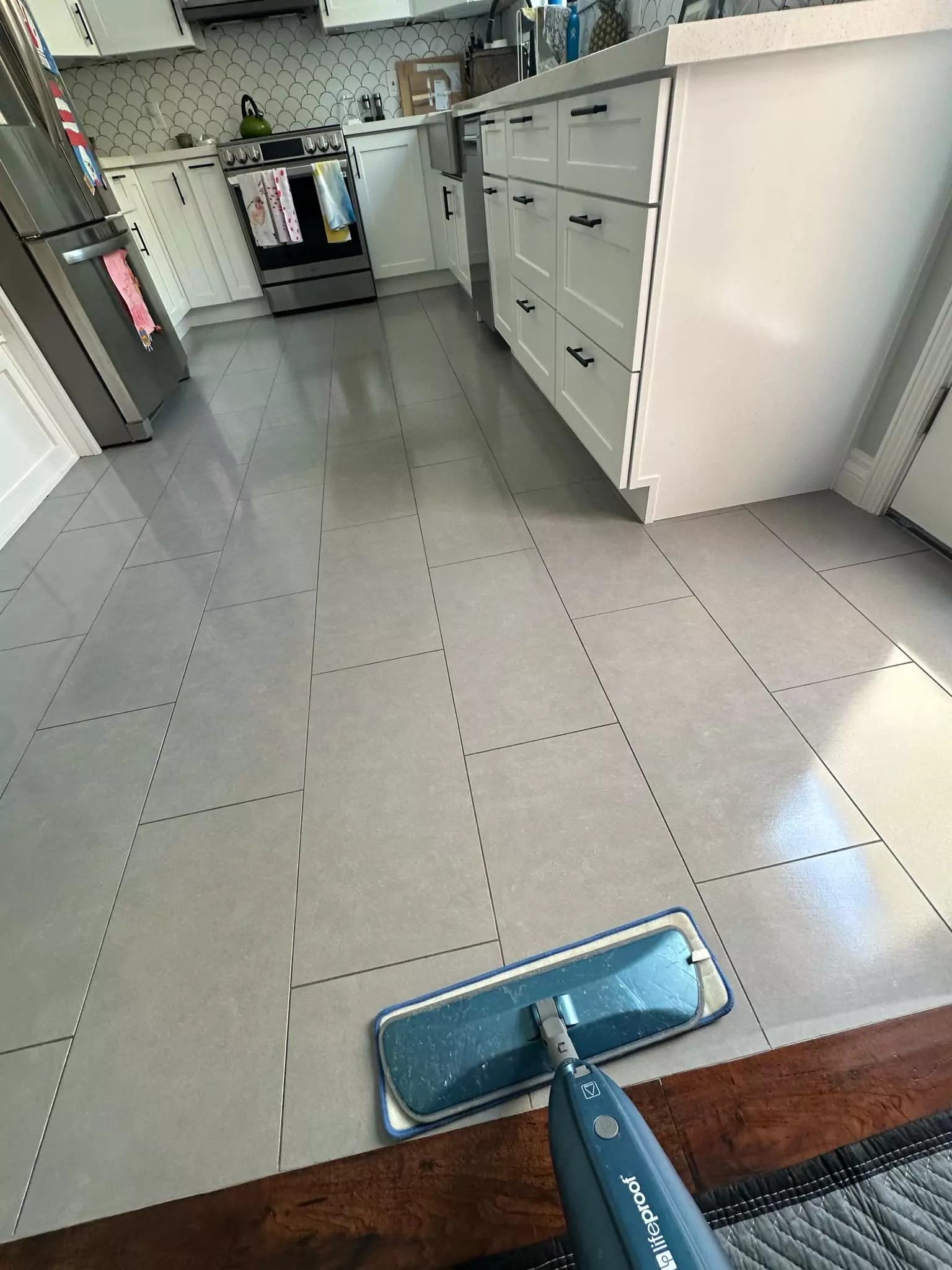 Tile and Grout Cleaning work (5)